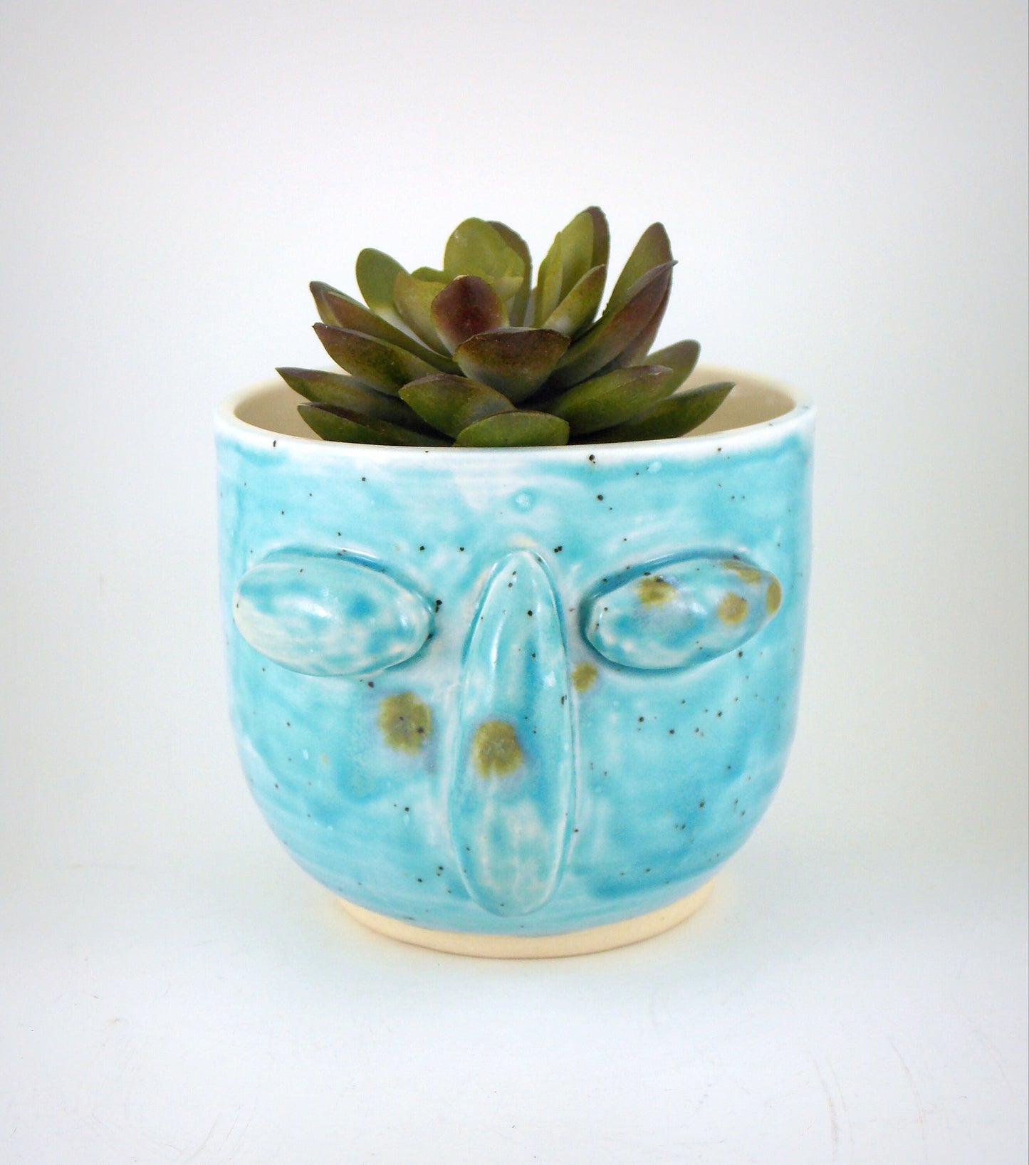 Succulent Planter Blue Face Handmade Planter Stoneware Clay Glazed Plant Pot Succulent Holder