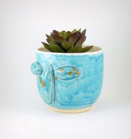 Succulent Planter Blue Face Handmade Planter Stoneware Clay Glazed Plant Pot Succulent Holder