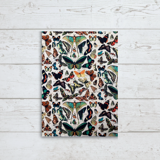 Moths Insects- Adjustable Book Cover